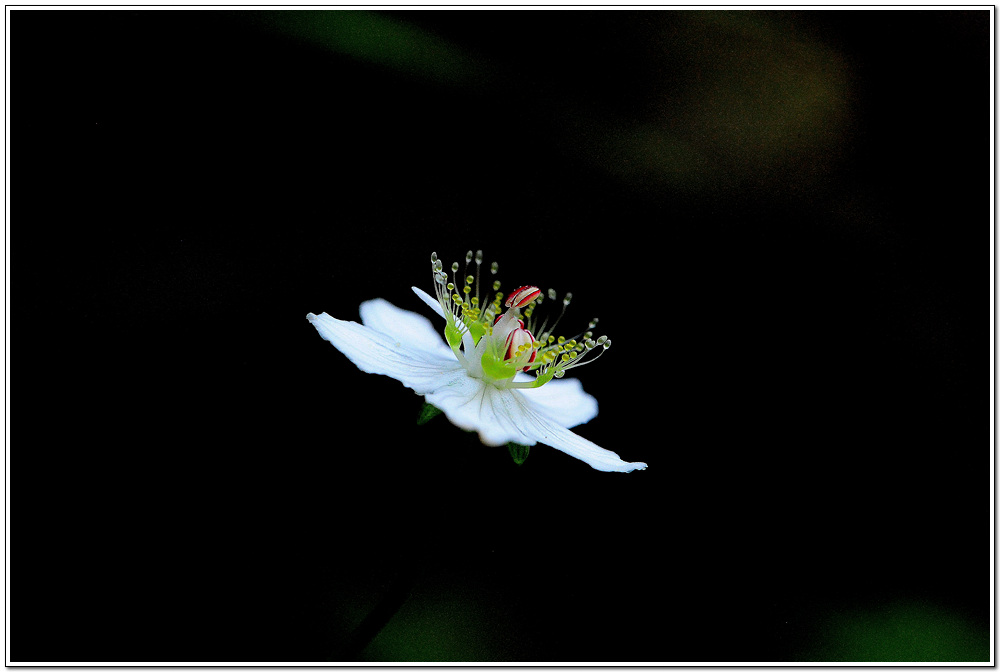 DSC_2059.jpg