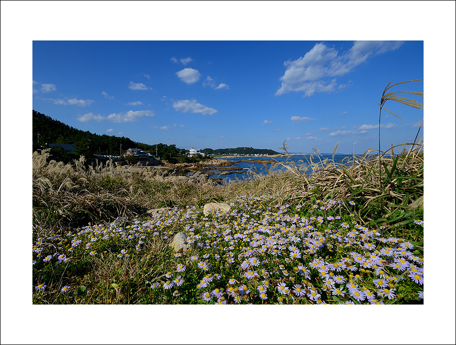 DSC_6401.jpg