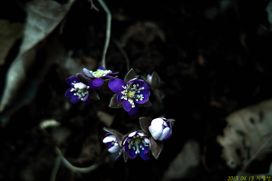 SDIM지장산 g(62).jpg