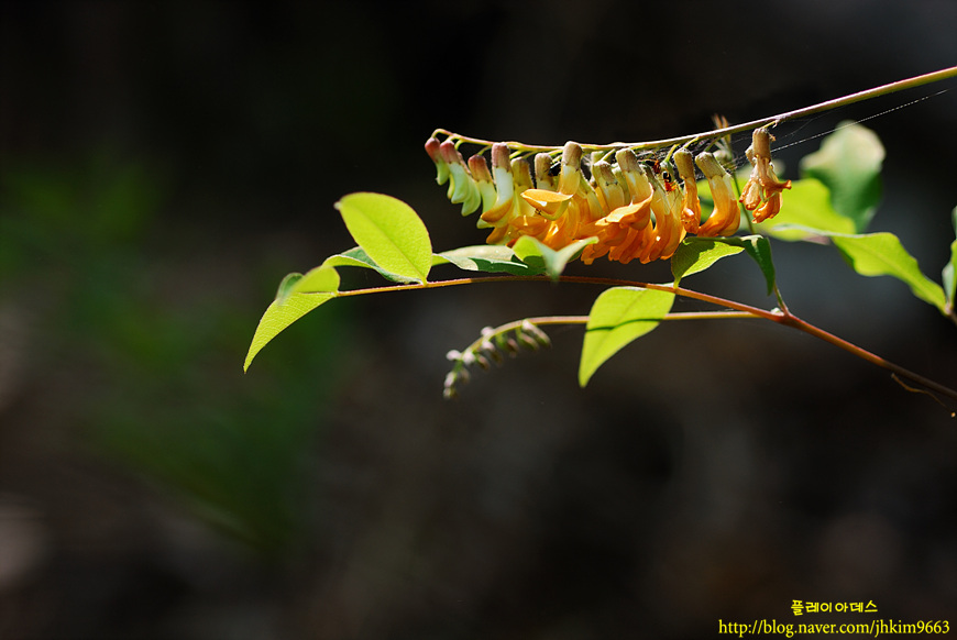 DSC_8773.jpg