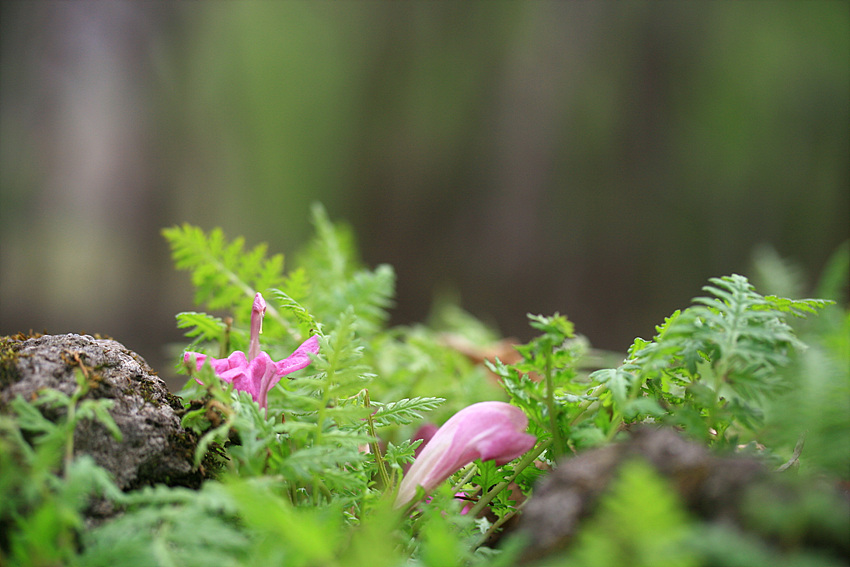 2010.05.02 072.jpg