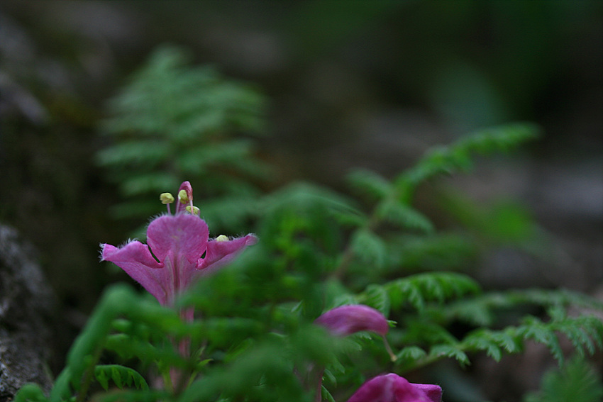 2010.05.02 380.jpg
