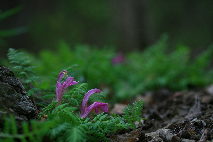 2010.05.02 056.jpg