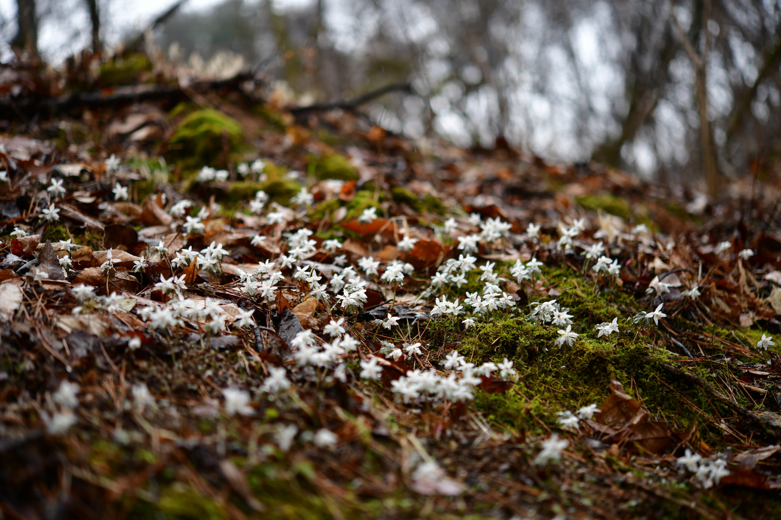 [크기변환]DSC_1478.JPG