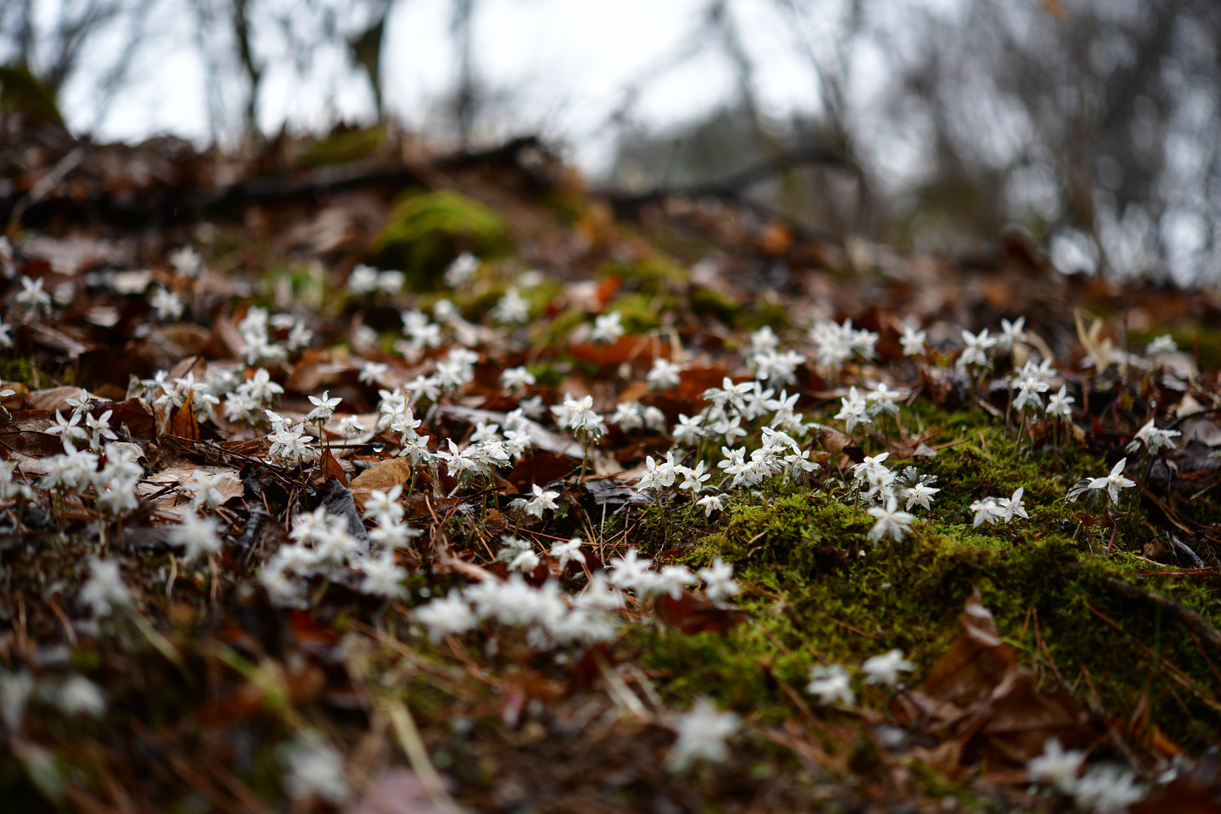 [크기변환]DSC_1482.JPG