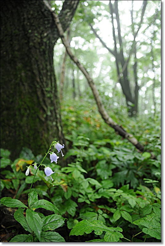 DSC_6597.JPG