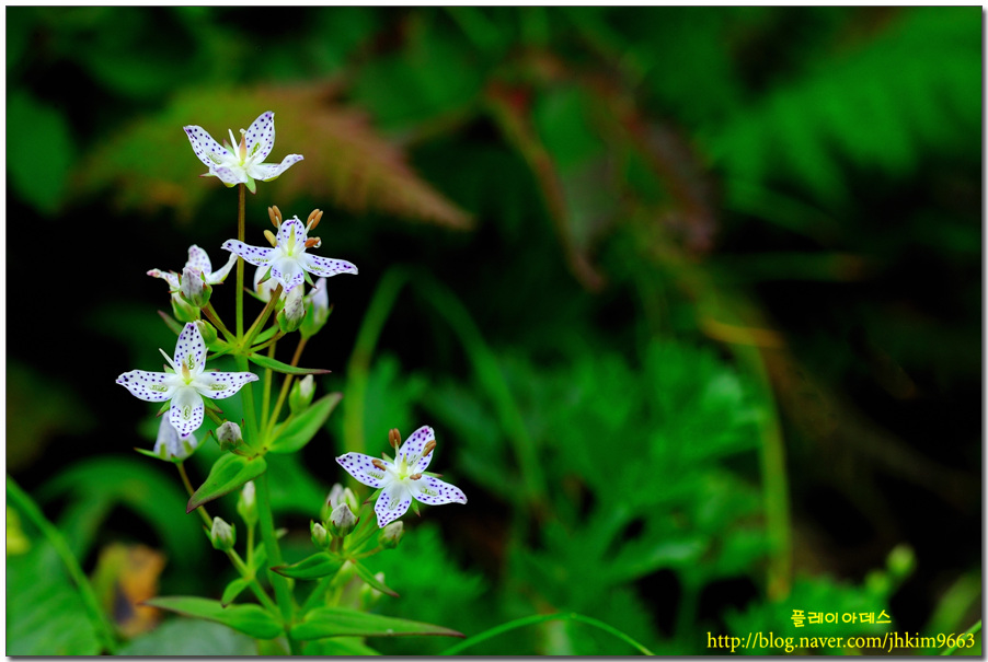DSC_5487.jpg