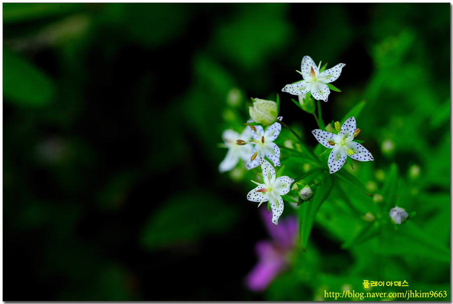 DSC_5514.jpg