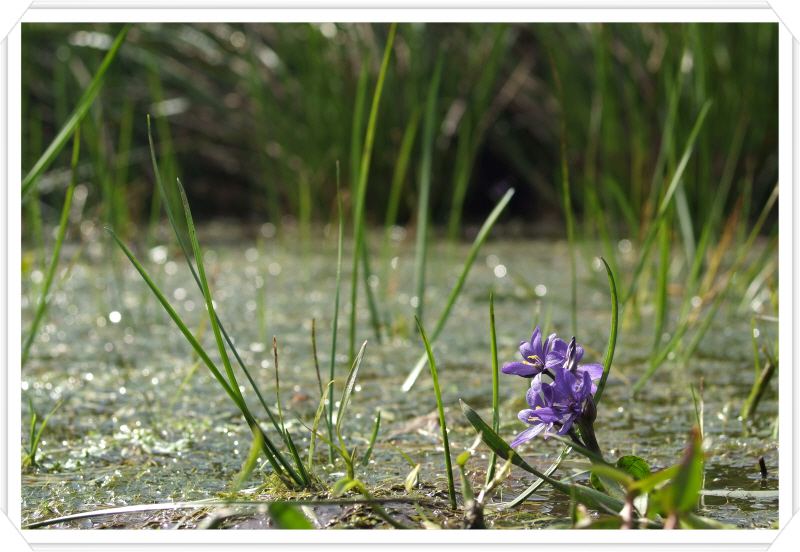 DSCF5924.JPG