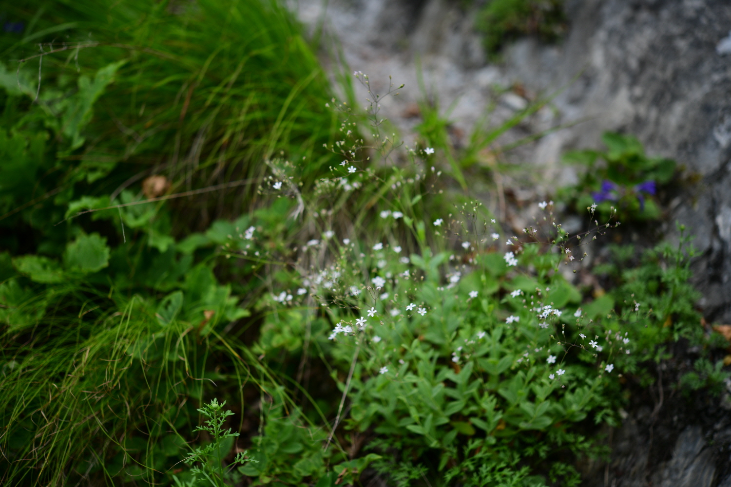크기변환_DSC_3813.JPG