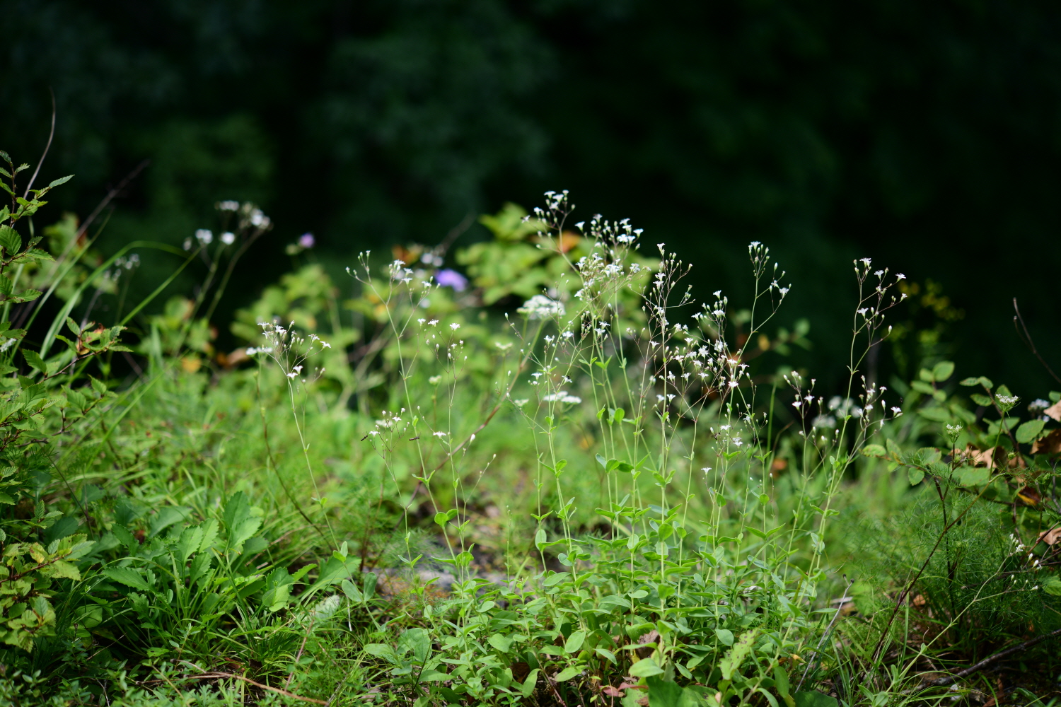 크기변환_DSC_3886.JPG