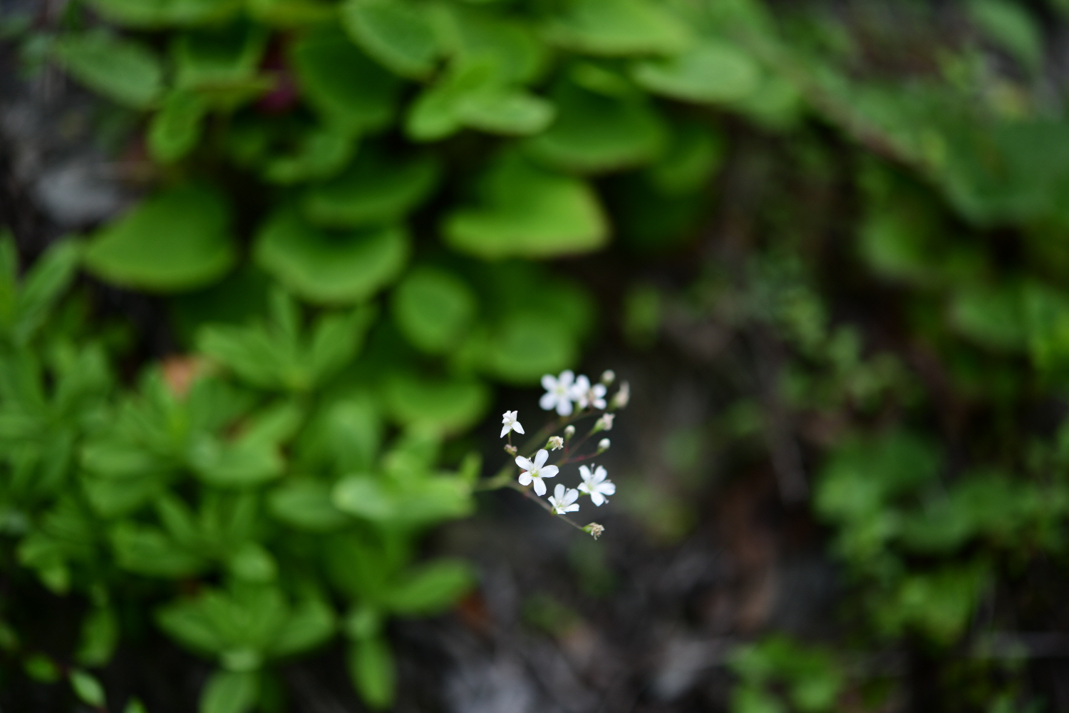 크기변환_DSC_3816.JPG