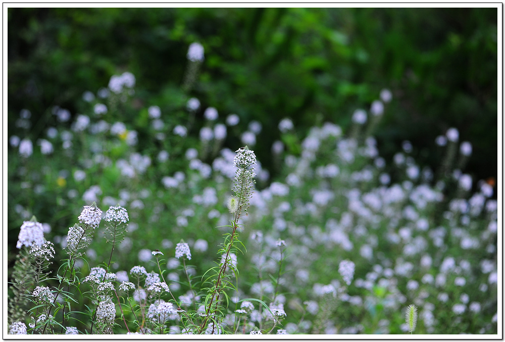 DSC_9614.jpg