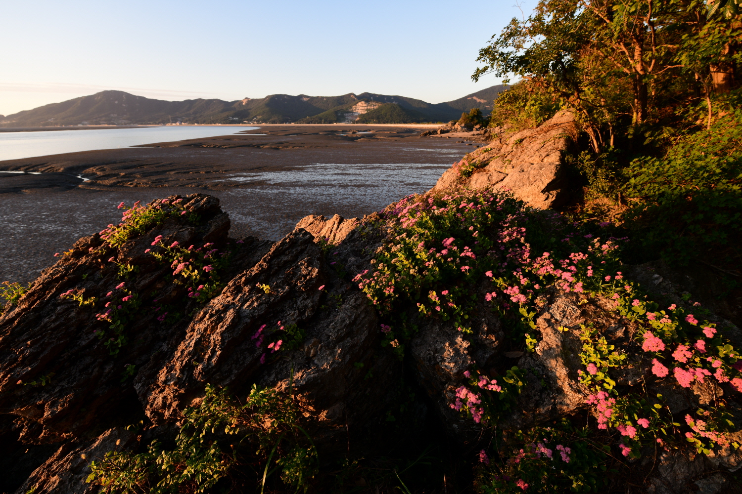 크기변환_DSC_6863.JPG