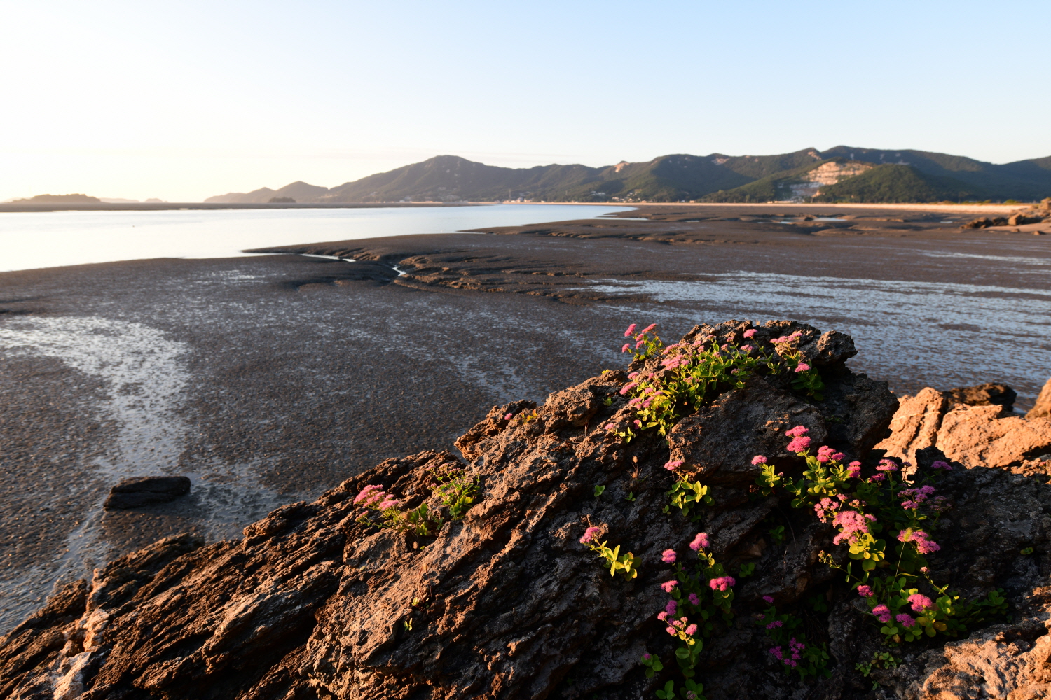 크기변환_DSC_6869.JPG