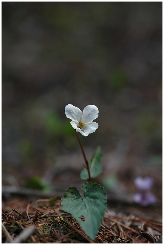 DSC_6928.jpg