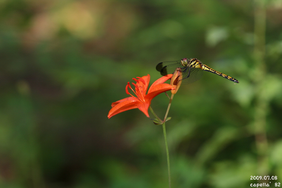 0708-4-8.JPG