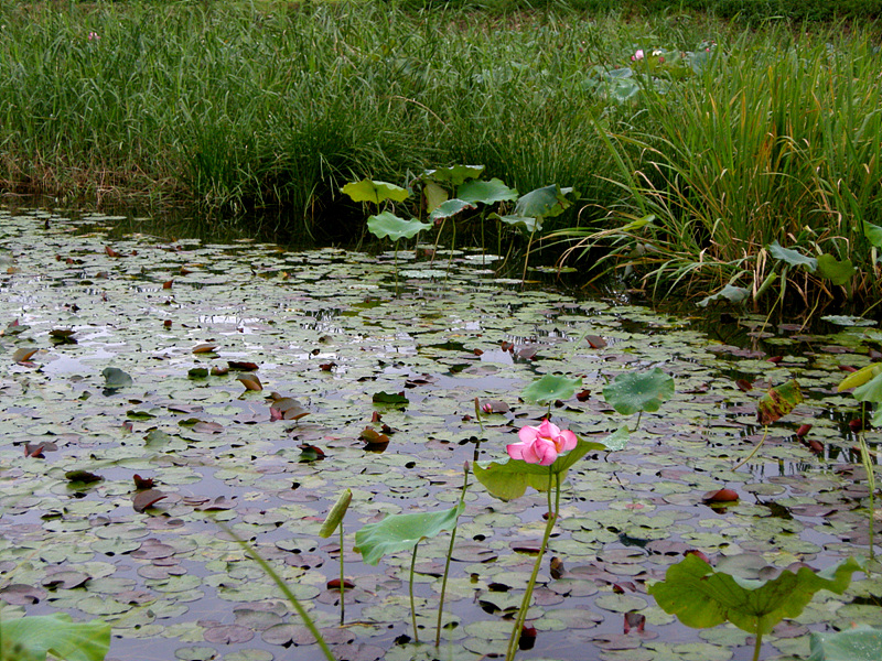 사진 066.jpg