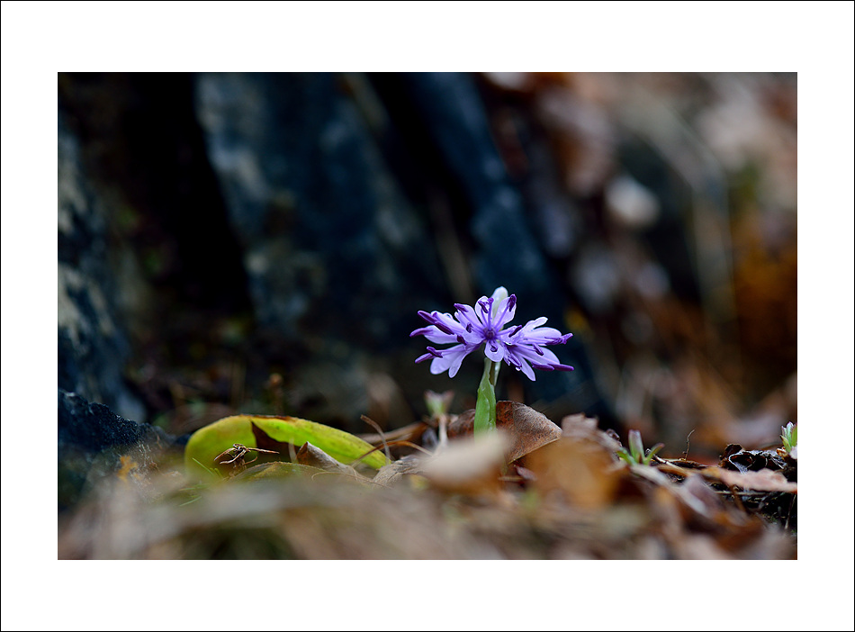 DSC_6016.jpg