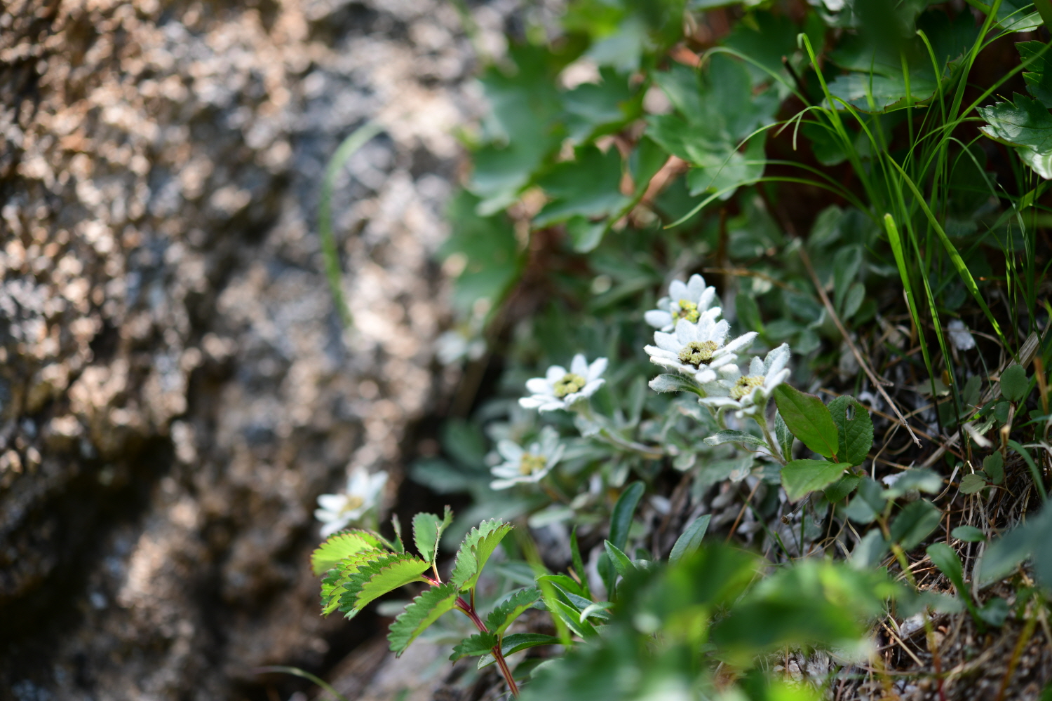 크기변환_DSC_5625.JPG
