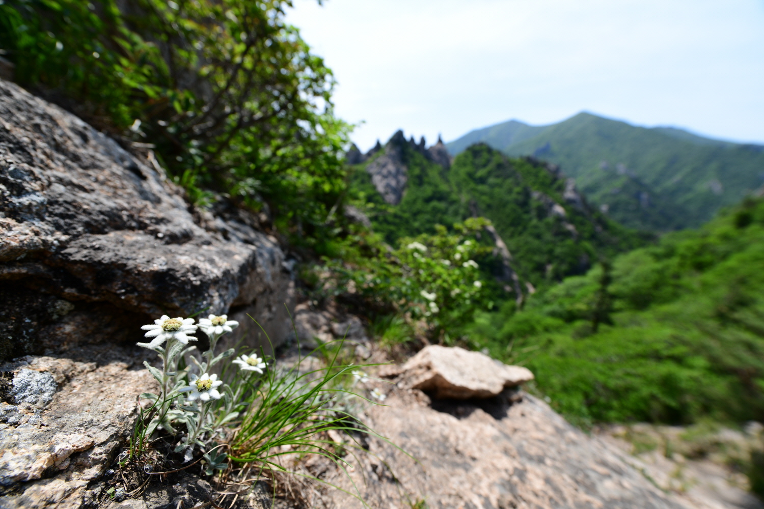 크기변환_DSC_5244.JPG