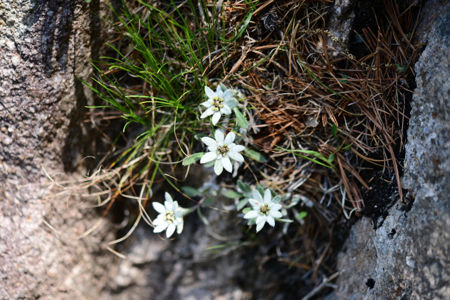 크기변환_DSC_5558.JPG