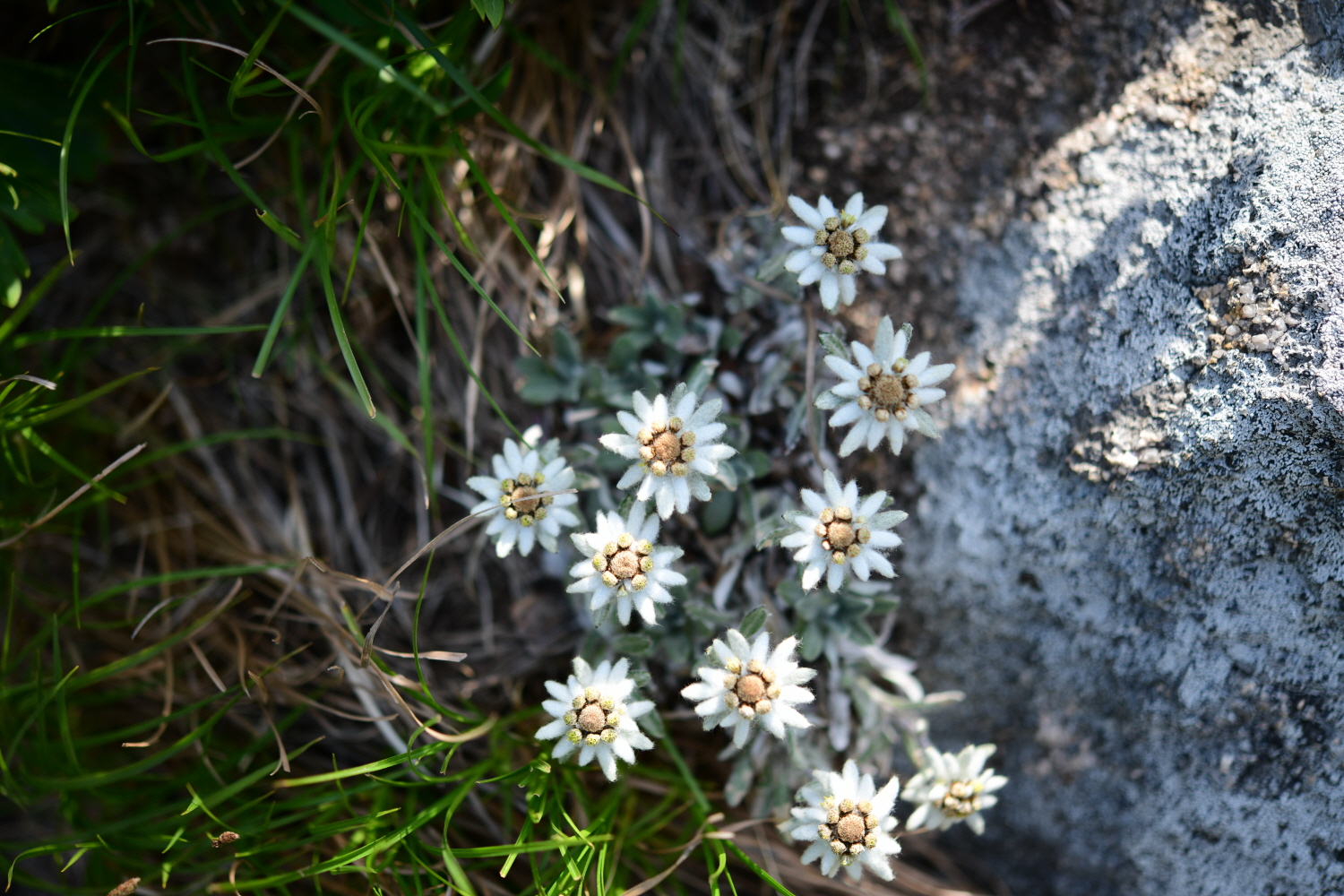 크기변환_DSC_5043.JPG