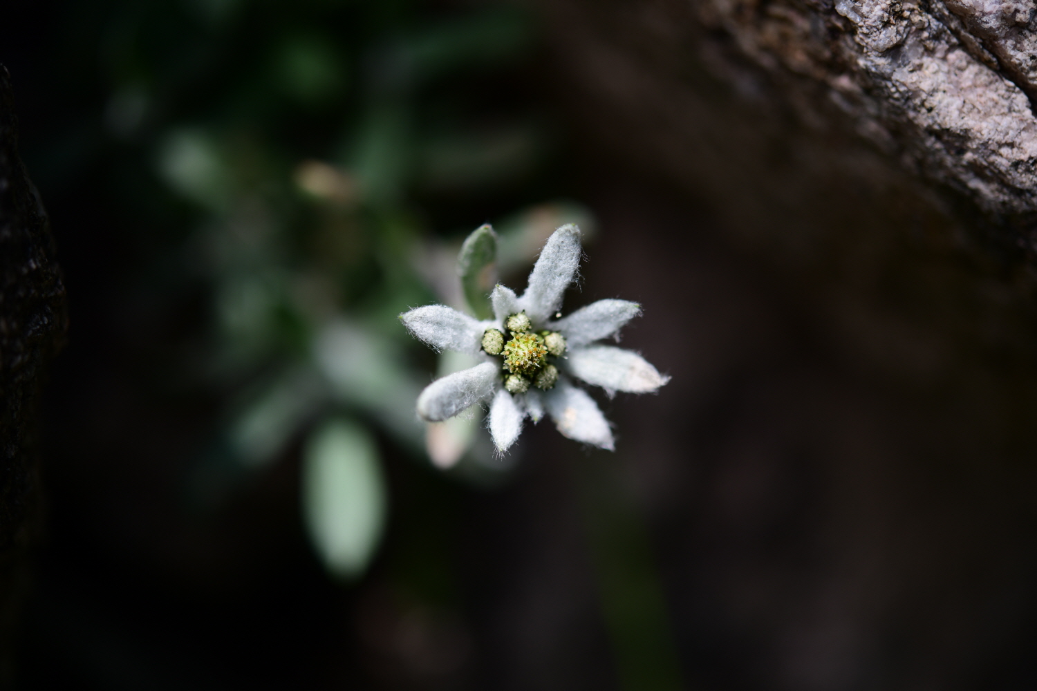 크기변환_DSC_5481.JPG