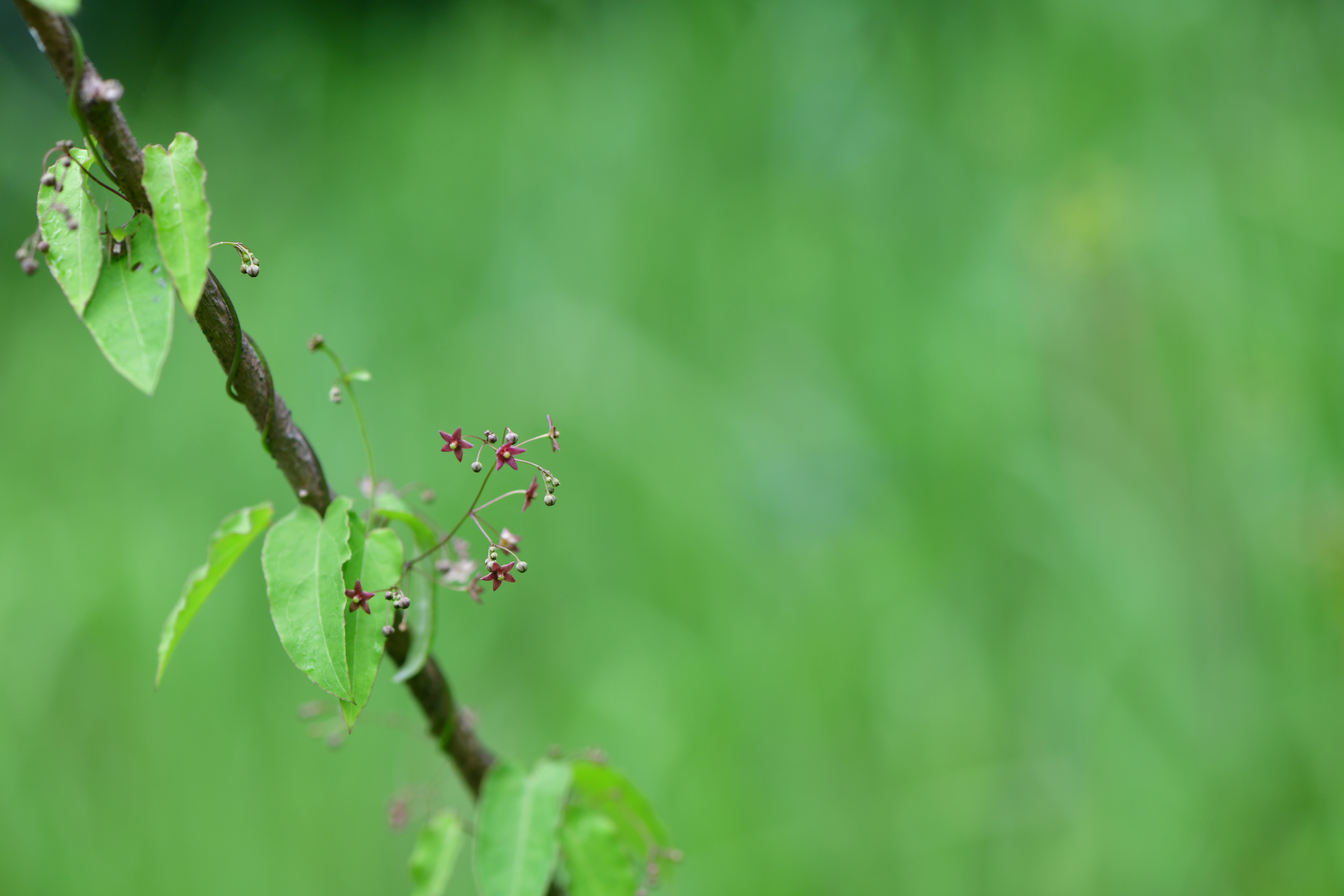 DSC_3363.JPG