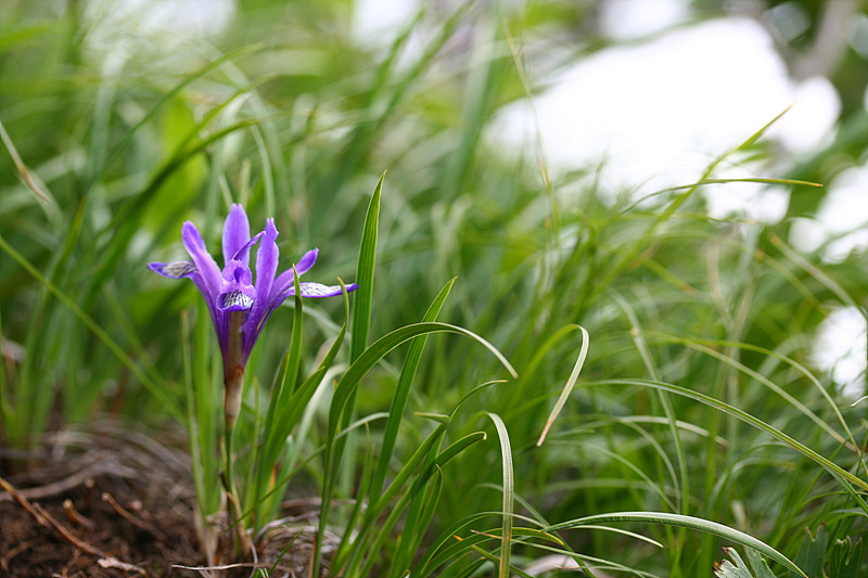 20090606안산 201.jpg