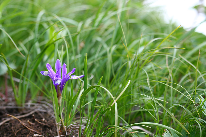 20090606안산 198.jpg