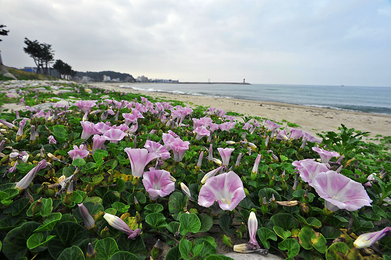 20120609_0027-1.jpg
