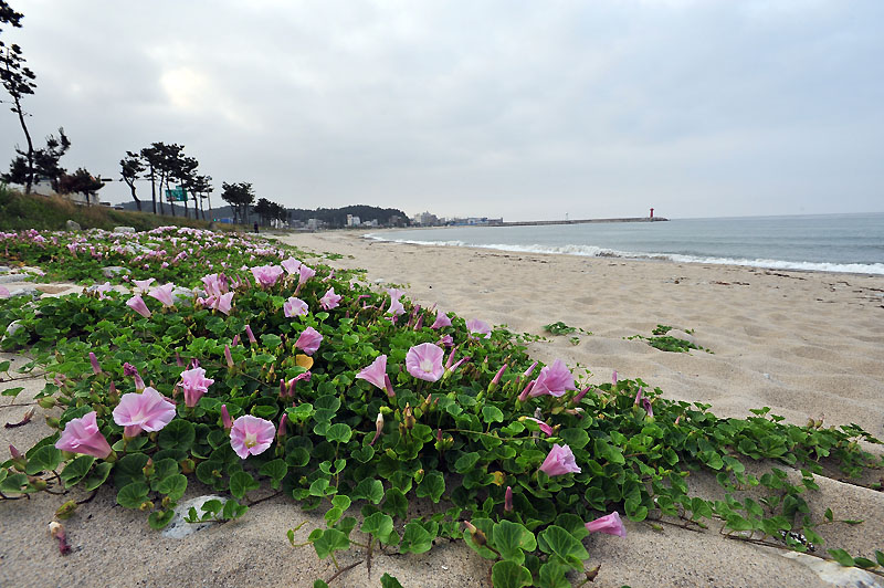 20120609_0049-1.jpg