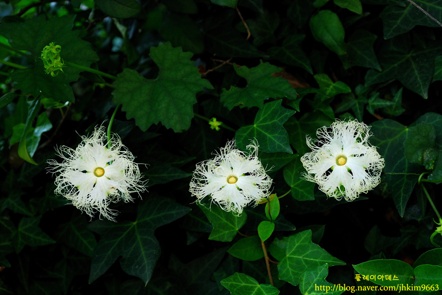 DSC_1424.jpg