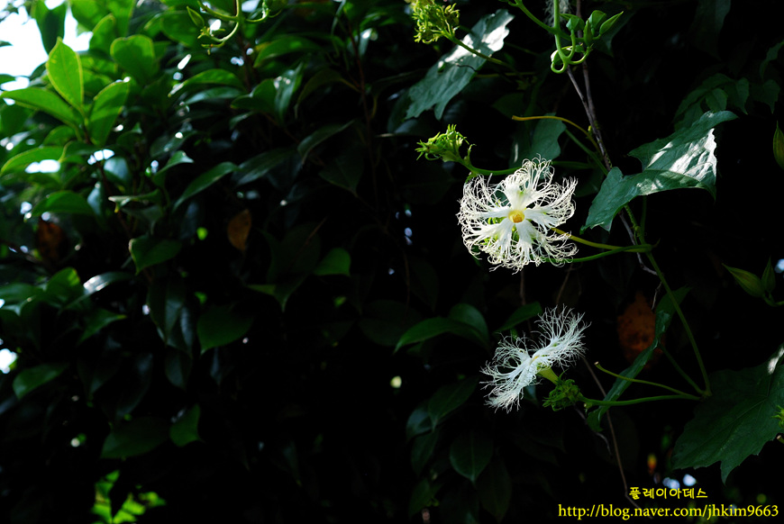 DSC_1435.jpg
