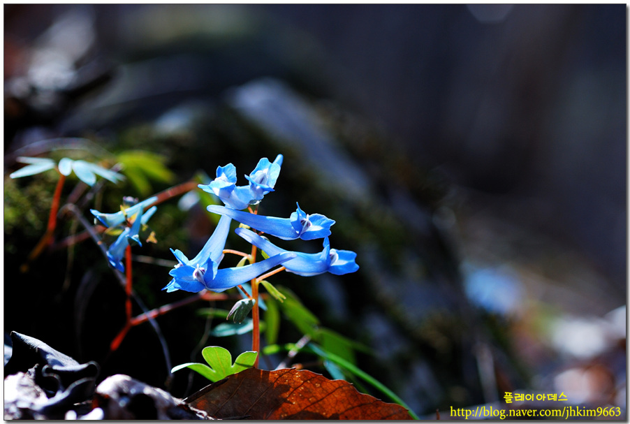 DSC_2652.jpg