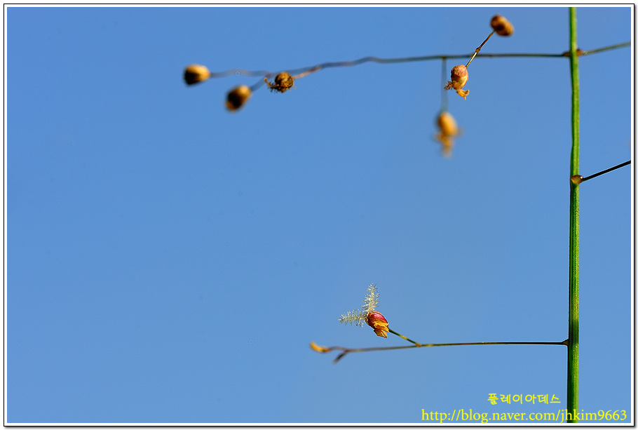 DSC_6793.jpg