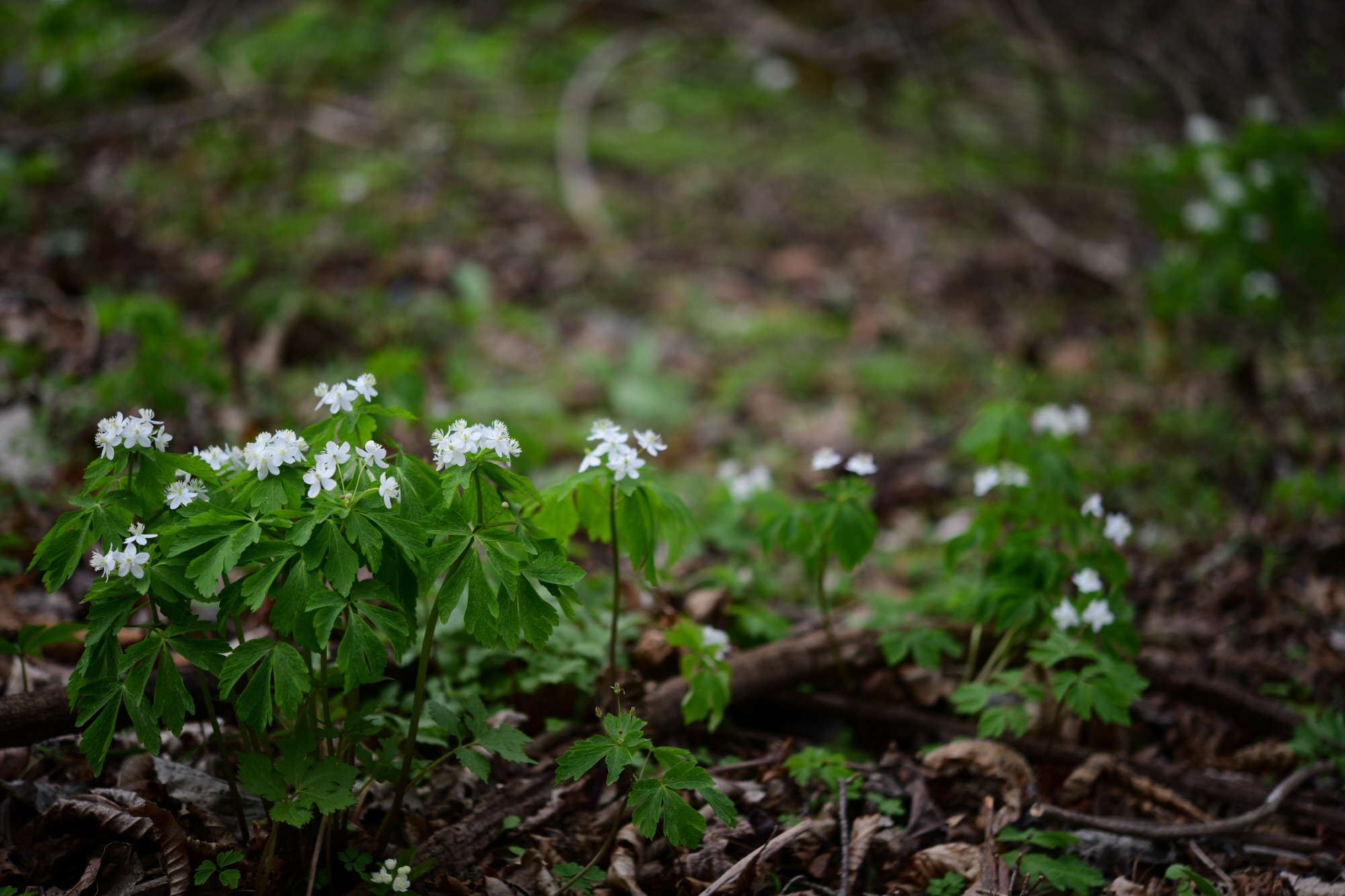 크기변환_DSC_0367.JPG