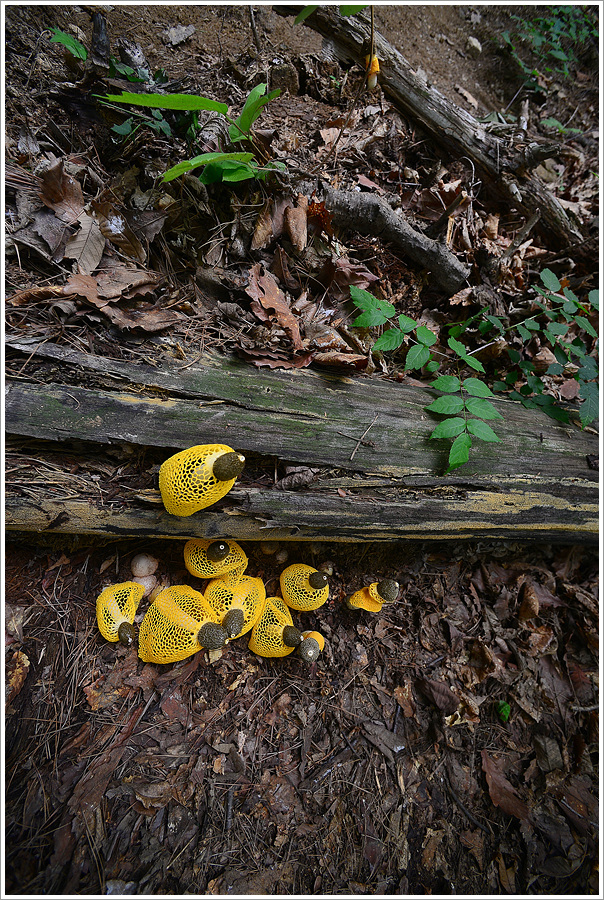 DSC_9021.jpg