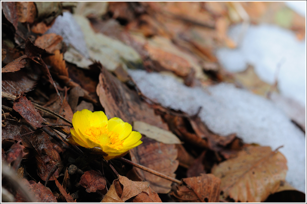 DSC_2103.jpg