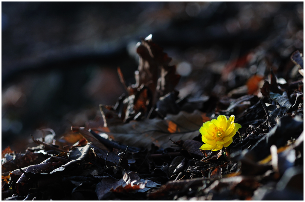 DSC_2097.jpg