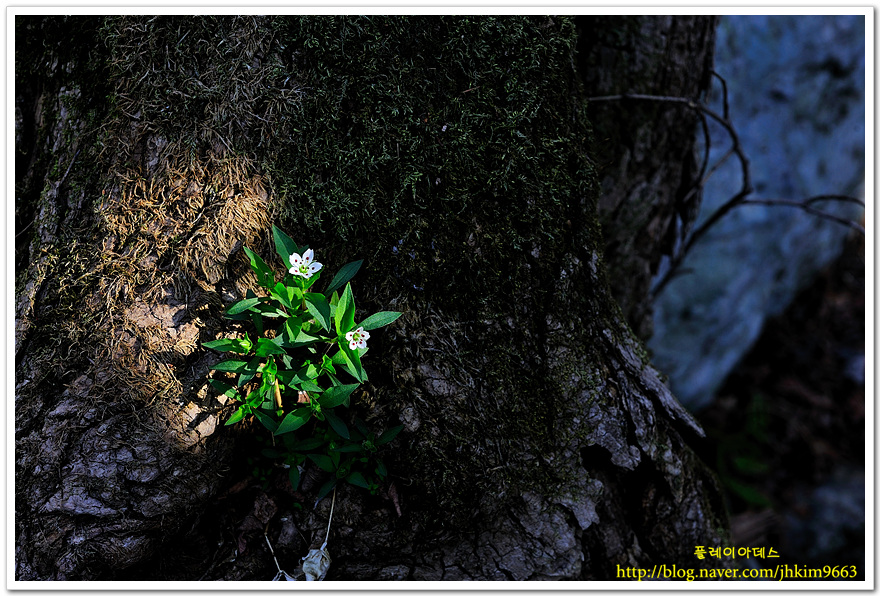 DSC_0945.jpg