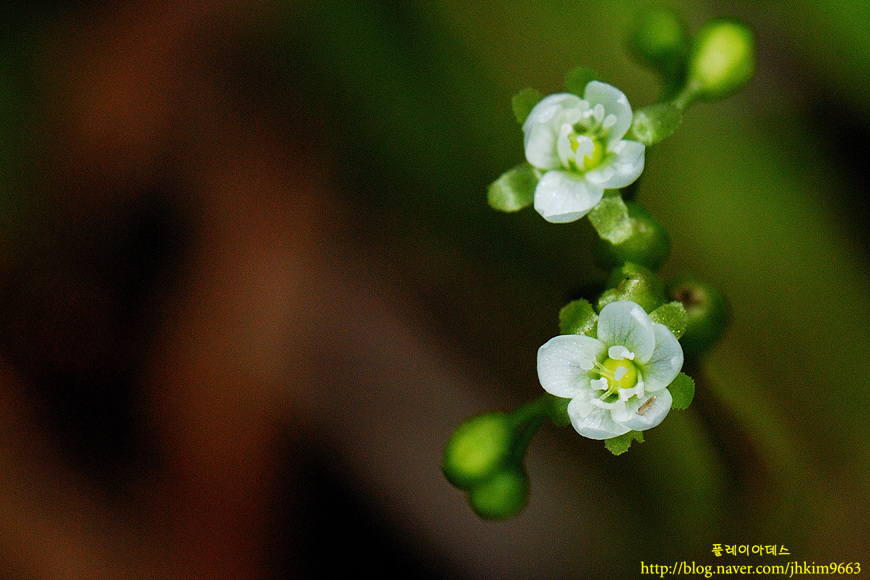DSC_5927.jpg