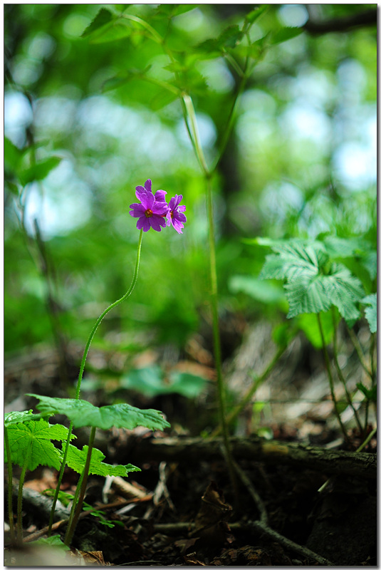 090524_088[1].jpg