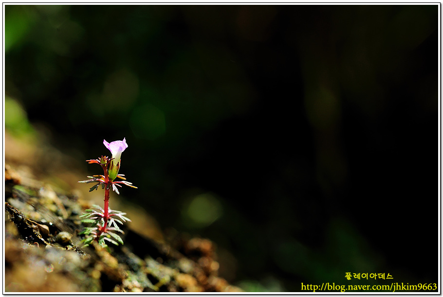 DSC_1344.jpg