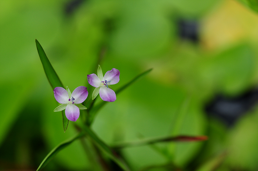 DSC_7627.jpg