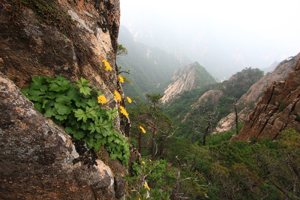 20100619_166.JPG