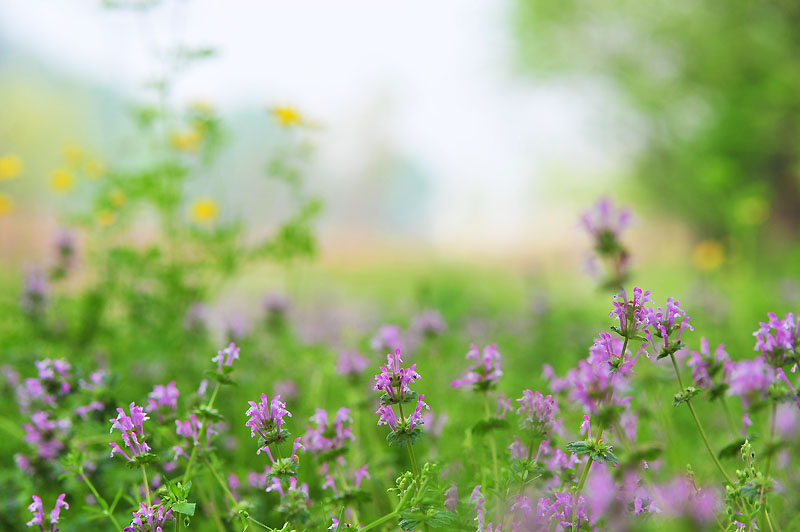 20120503_0043-1.jpg