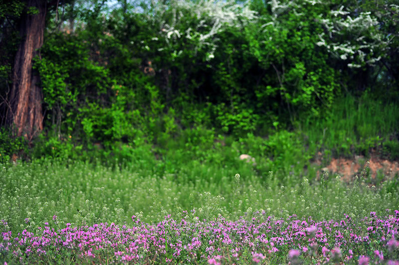 20120503_0053-1.jpg