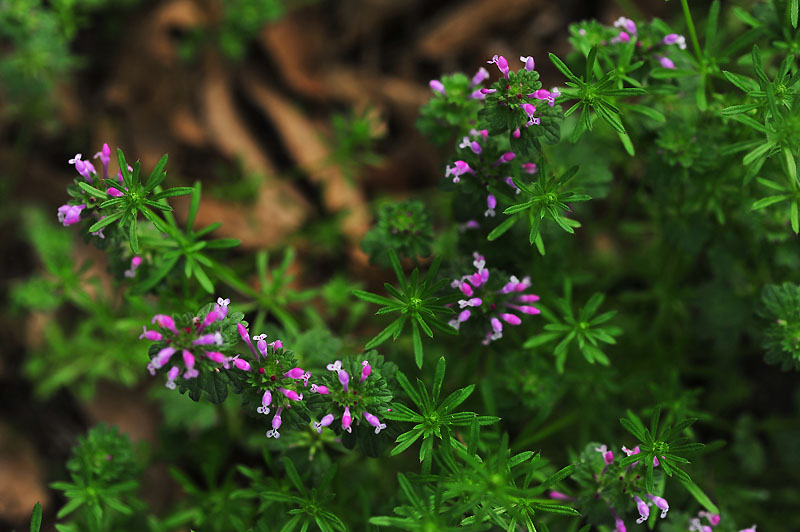 20120503_0037-1.jpg